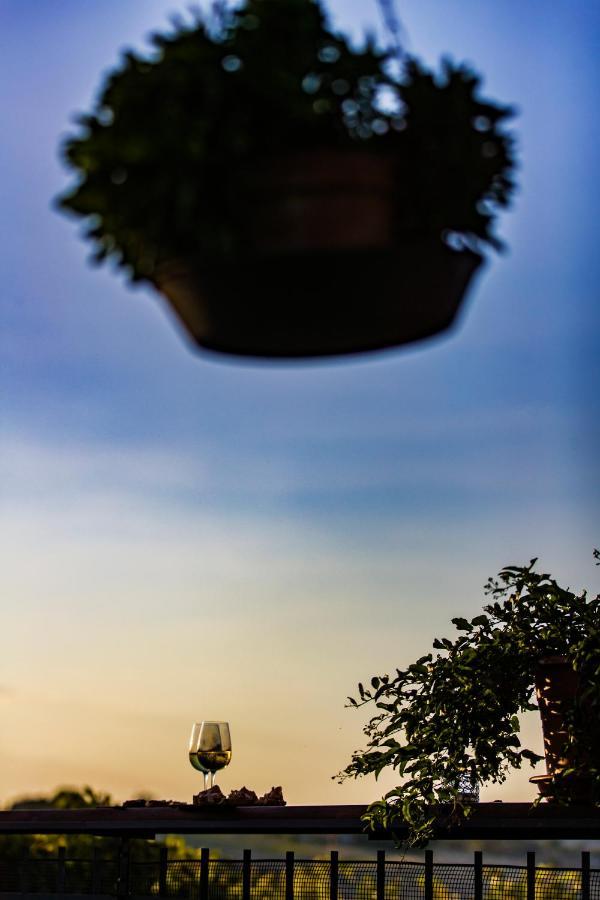 B&B Al Chicco D'Uva Morro d'Alba Luaran gambar