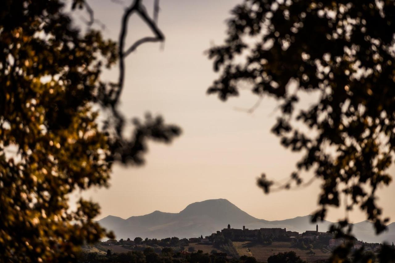 B&B Al Chicco D'Uva Morro d'Alba Luaran gambar