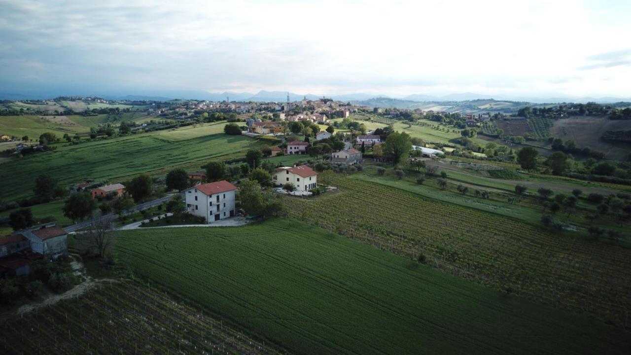 B&B Al Chicco D'Uva Morro d'Alba Luaran gambar