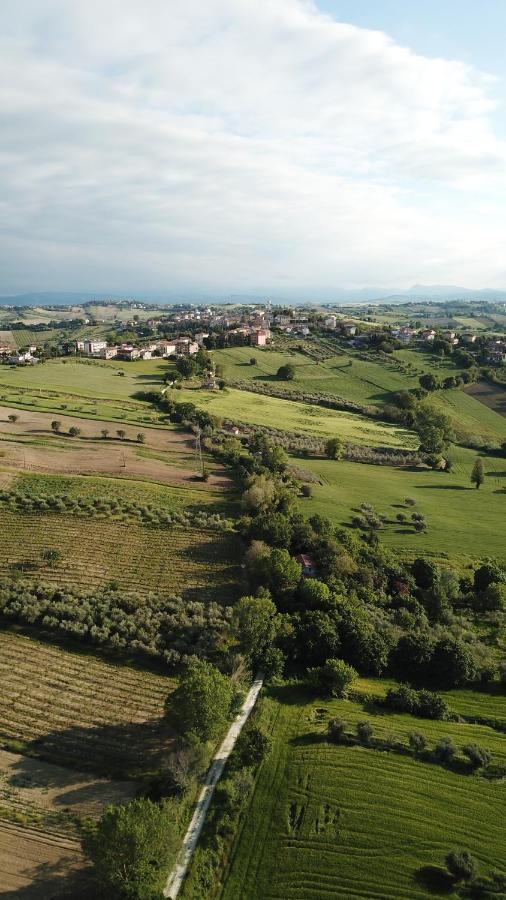 B&B Al Chicco D'Uva Morro d'Alba Luaran gambar